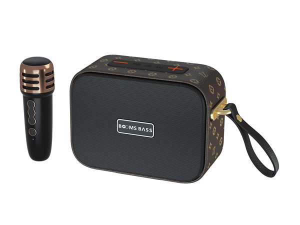 M2101+ Stereo